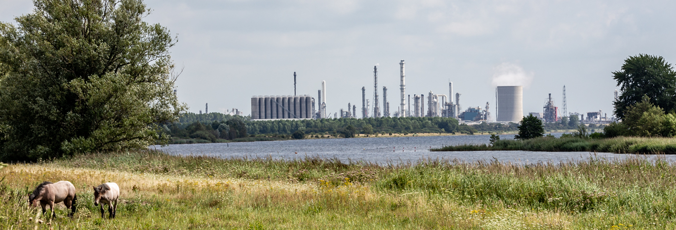 Dow fotografie 6